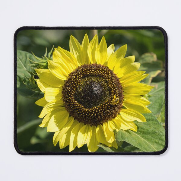 Item preview, Pollinator Jewel - a Beautiful Sunflower with a Golden Bee designed and sold by Georgia Mizuleva.
