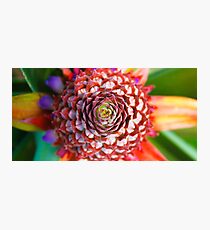 Pineapple flower Photographic Print