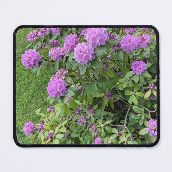 Item preview, Rhododendron Bush designed and sold by Amanda1775.