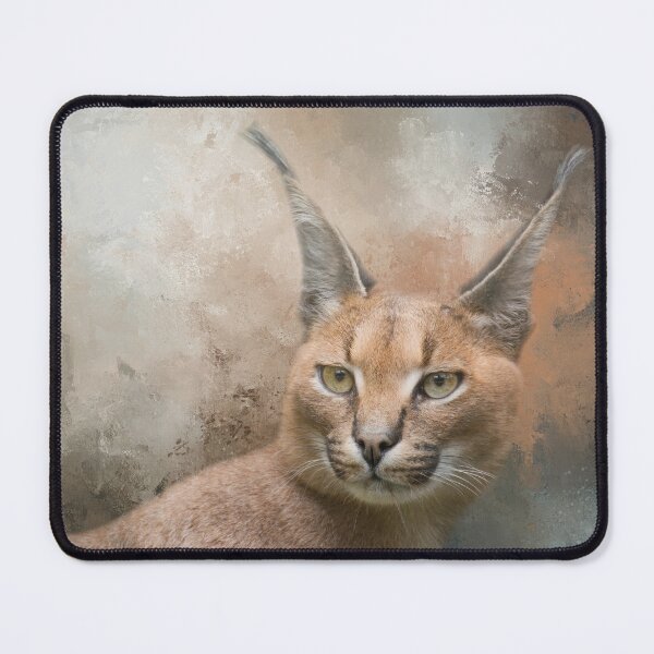 Item preview, Caracal Cat One designed and sold by Elisabeth Lucas.