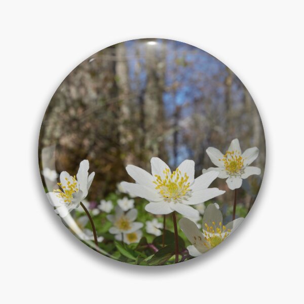 Item preview, Under the trees. Wood anemone designed and sold by Jouko Lehto Photography.