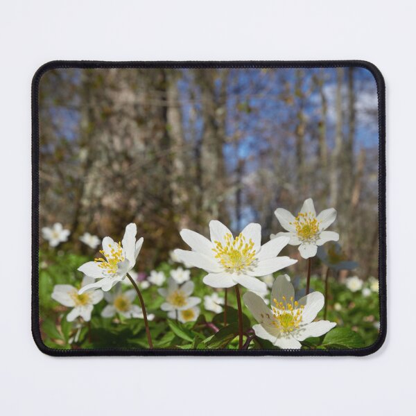 Item preview, Under the trees. Wood anemone designed and sold by Jouko Lehto Photography.