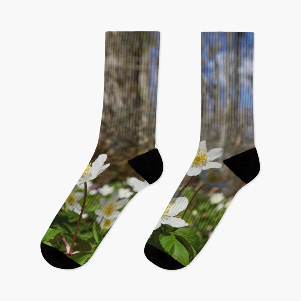 Item preview, Under the trees. Wood anemone designed and sold by Jouko Lehto Photography.