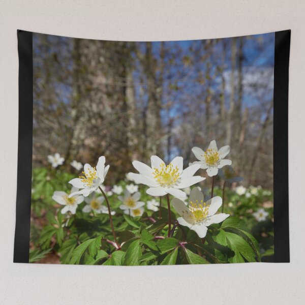 Item preview, Under the trees. Wood anemone designed and sold by Jouko Lehto Photography.
