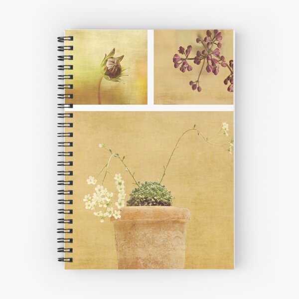 Item preview, Summer designed and sold by Anne Staub.