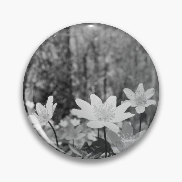 Item preview, Under the trees. Wood anemone bw designed and sold by Jouko Lehto Photography.