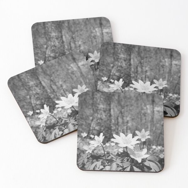 Item preview, Under the trees. Wood anemone bw designed and sold by Jouko Lehto Photography.
