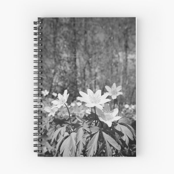 Item preview, Under the trees. Wood anemone bw designed and sold by Jouko Lehto Photography.