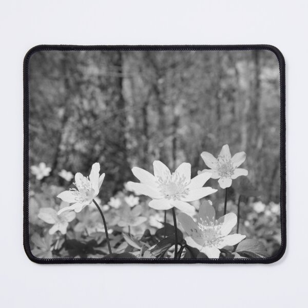 Item preview, Under the trees. Wood anemone bw designed and sold by Jouko Lehto Photography.