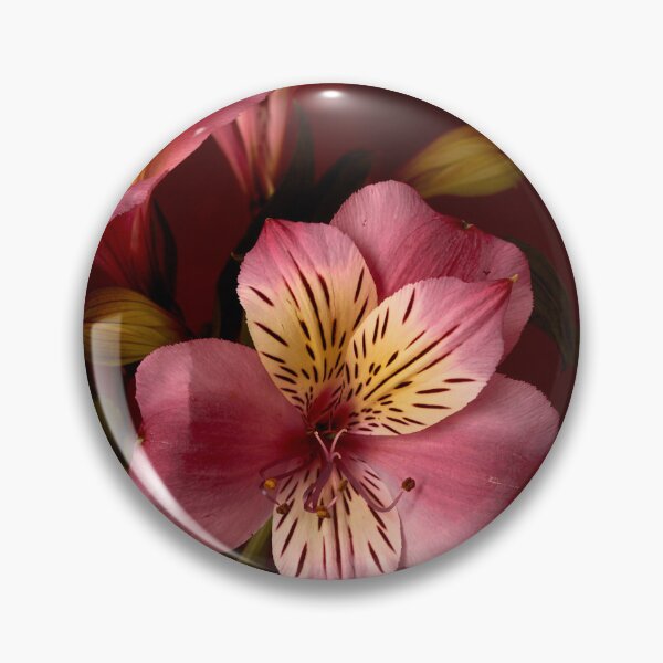 Item preview, Alstroemeria bouquet flowers designed and sold by IgorKovalenko.
