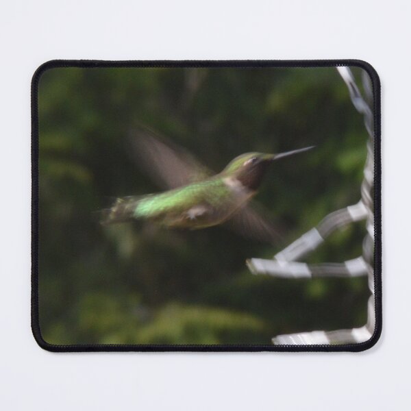 Item preview, Hovering humming bird designed and sold by enchantedvibes.