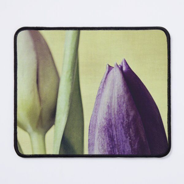 Item preview, Floral designed and sold by Anne Staub.