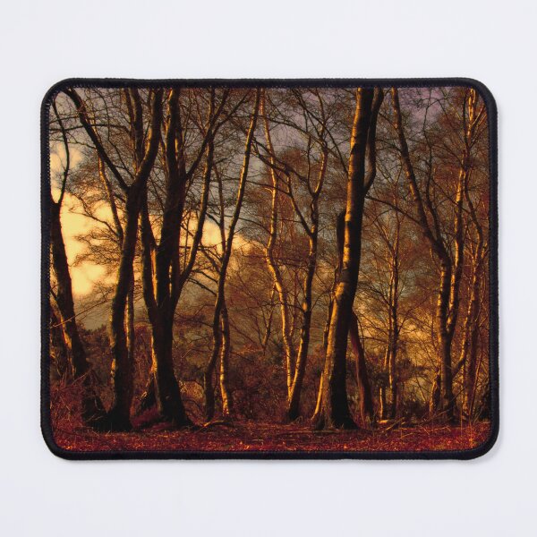 Item preview, Woods designed and sold by Anne Staub.