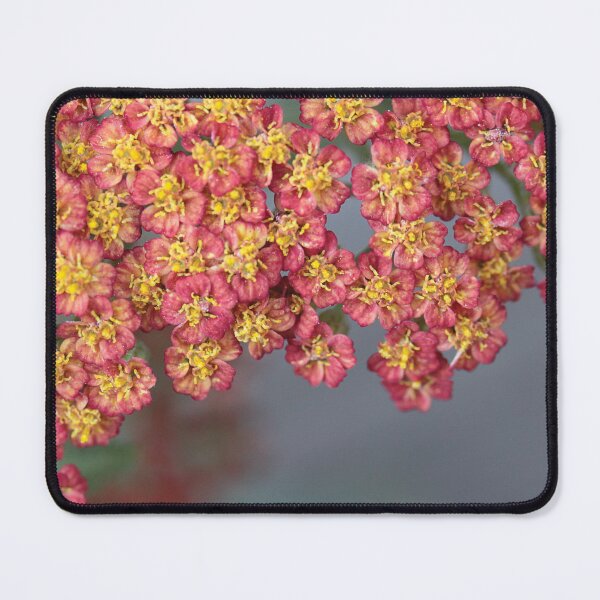 Item preview, Floral designed and sold by Anne Staub.