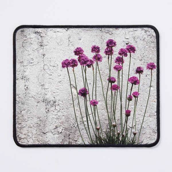 Item preview, Urban garden designed and sold by Anne Staub.