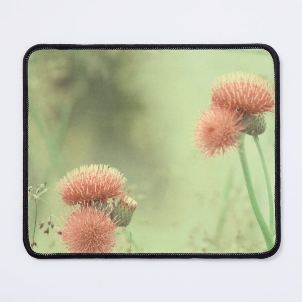 Item preview, Yesterday's garden designed and sold by Anne Staub.