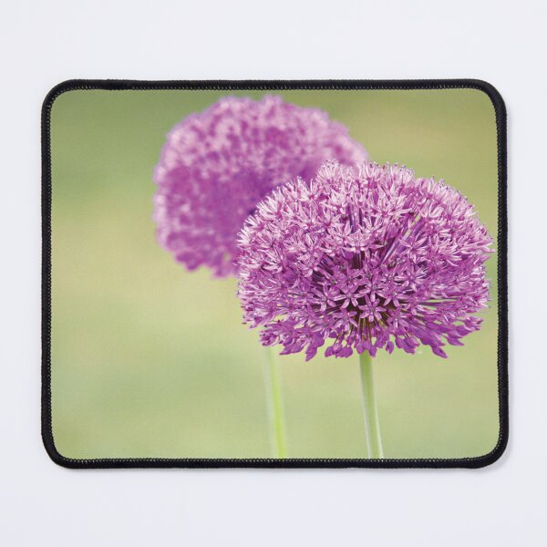Item preview, Alliums designed and sold by Anne Staub.