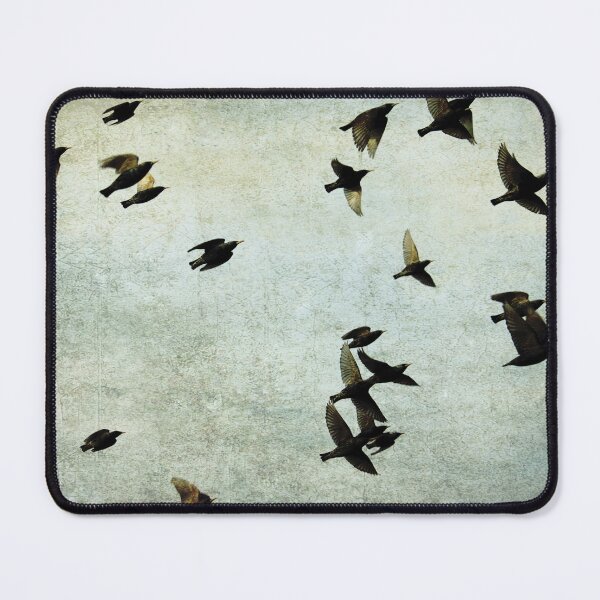Item preview, Let's fly designed and sold by Anne Staub.