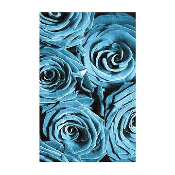 Artwork thumbnail, Blue Roses by Anne Staub
