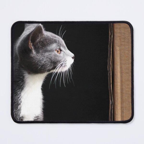 Item preview, Miss M.  designed and sold by Anne Staub.