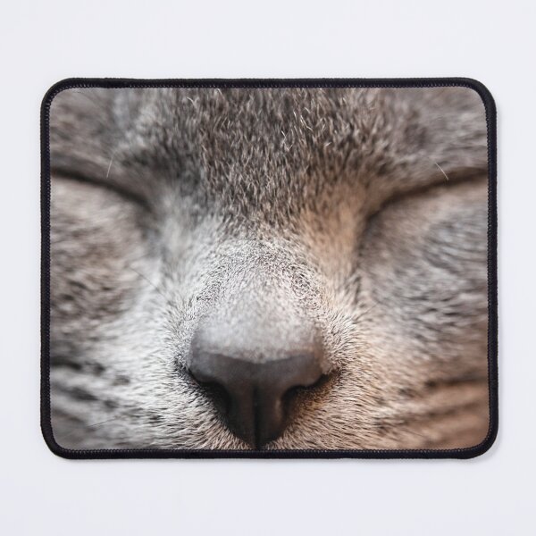 Item preview, Kitten XXI designed and sold by Anne Staub.