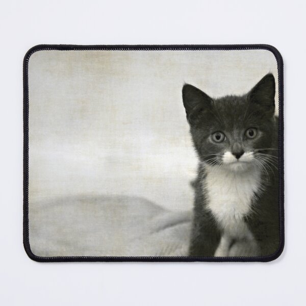 Item preview, Kitten designed and sold by Anne Staub.