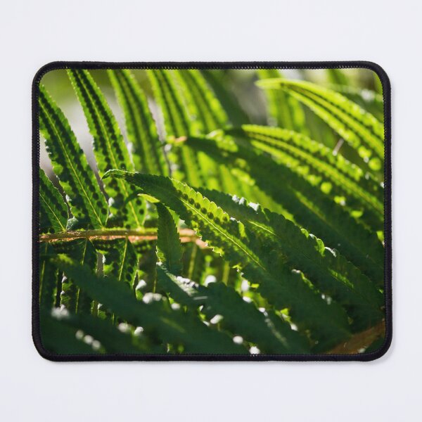 Item preview, Backlit Sword Fern designed and sold by LucentJourneys.