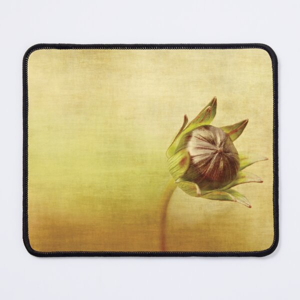 Item preview, Cosmos designed and sold by Anne Staub.