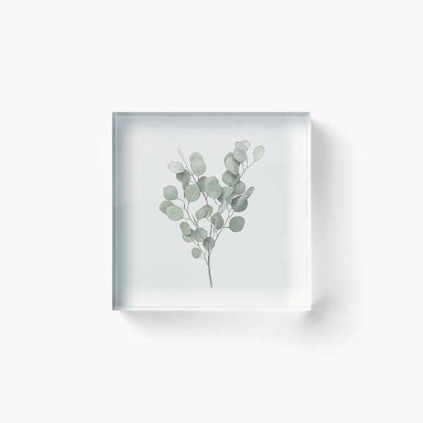 Item preview, Eucalyptus Leaves Botanical Drawing, Plant Greenery Farmhouse Design designed and sold by Olverh Design Studio.