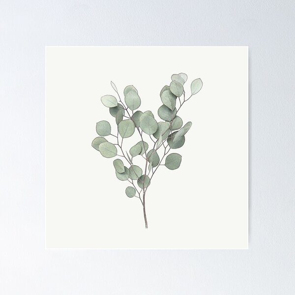 Item preview, Eucalyptus Leaves Botanical Drawing, Plant Greenery Farmhouse Design designed and sold by Olverh Design Studio.