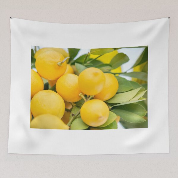 Item preview, Refreshing Summer Lemons designed and sold by newburyboutique.