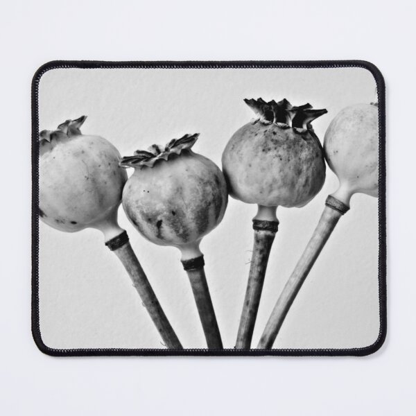 Item preview, Poppy pods designed and sold by Anne Staub.