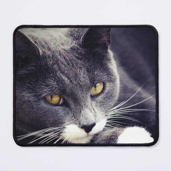 Item preview, Miss M. designed and sold by Anne Staub.