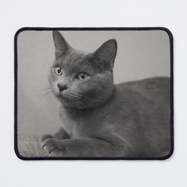 Item preview, Russian Blue designed and sold by Anne Staub.