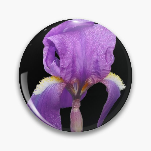 Aperçu de l'œuvre Iris créée et vendue par SilviPavlova.