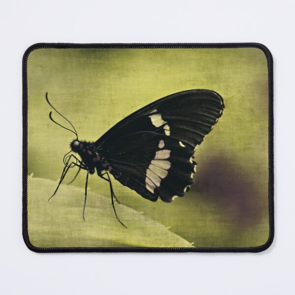 Item preview, Butterfly designed and sold by Anne Staub.