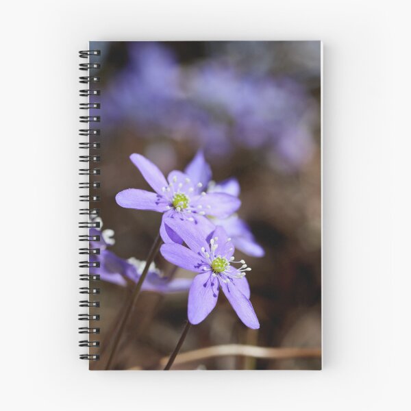 Item preview, Sunny blues. Hepatica designed and sold by Jouko Lehto Photography.
