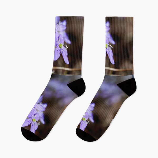 Item preview, Sunny blues. Hepatica designed and sold by Jouko Lehto Photography.