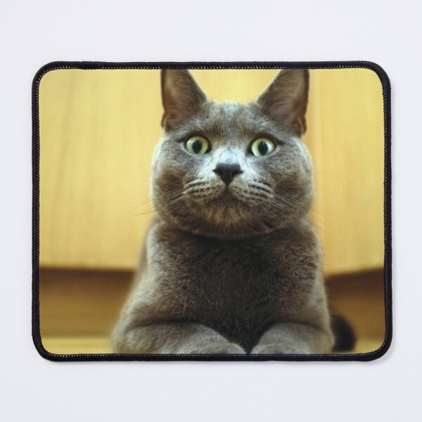 Item preview, Russian Blue designed and sold by Anne Staub.