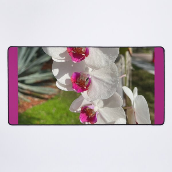 Item preview, White Orchids With Pink designed and sold by KarenZuk.