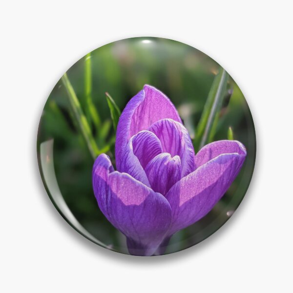 Aperçu de l'œuvre Fleur violette au soleil créée et vendue par AustaArt.