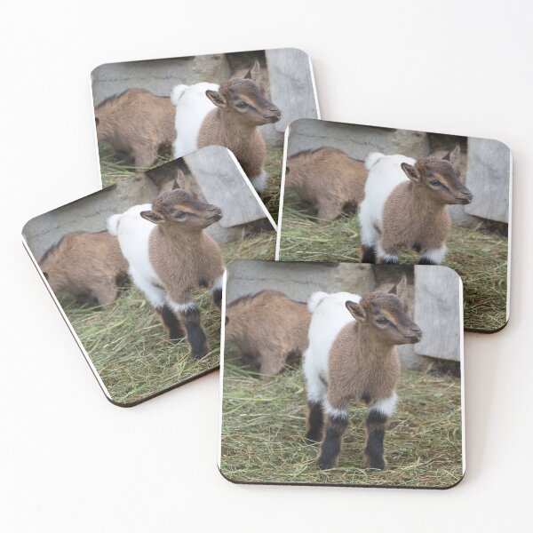 Item preview, Cabrito designed and sold by Yair Karelic.