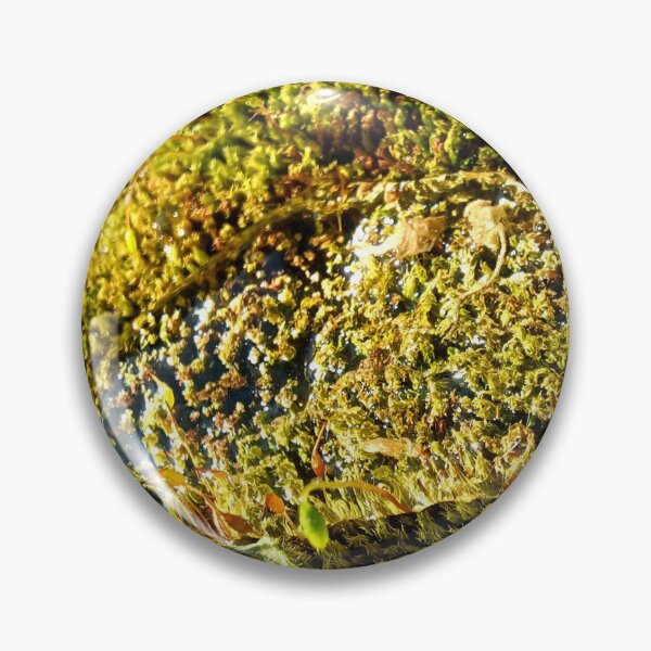 Item preview, Rain water patch on vibrant green moss nature photo designed and sold by CiniArt.