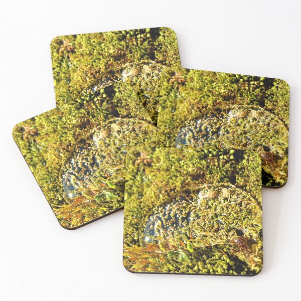 Item preview, Rain water patch on vibrant green moss nature photo designed and sold by CiniArt.