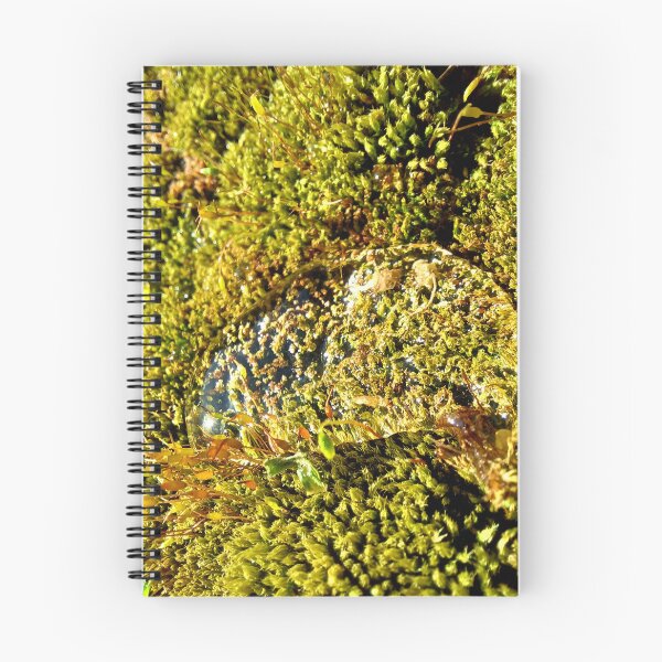 Item preview, Rain water patch on vibrant green moss nature photo designed and sold by CiniArt.