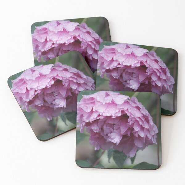 Item preview, Common Peony designed and sold by Skeletastic.