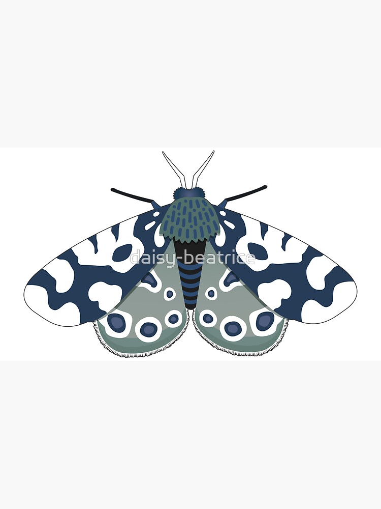 Thumbnail 7 of 7, Cap, Mod Moths in Navy and Gray designed and sold by daisy-beatrice.