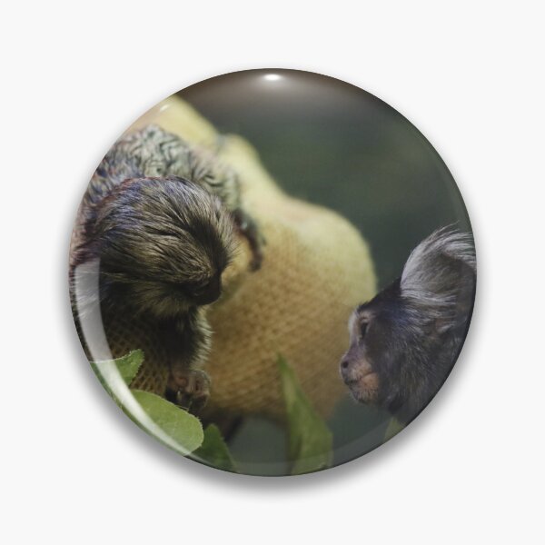Item preview, Baby Marmoset designed and sold by Skeletastic.