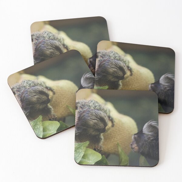 Item preview, Baby Marmoset designed and sold by Skeletastic.