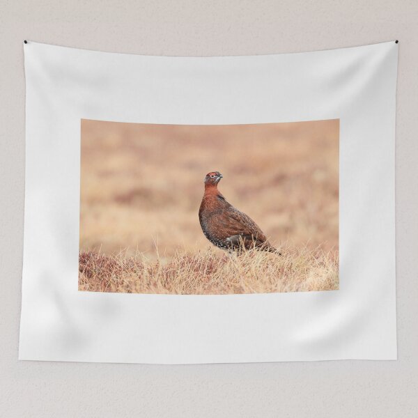 Item preview, Red Grouse designed and sold by chanonry.